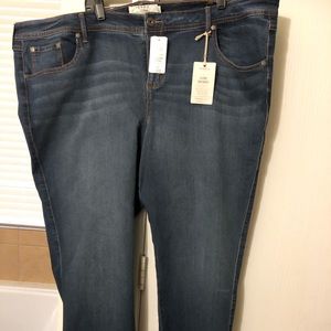 Torrid Jeans